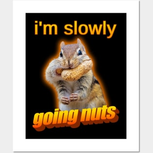 I'm slowly going nuts squirrel meme Posters and Art